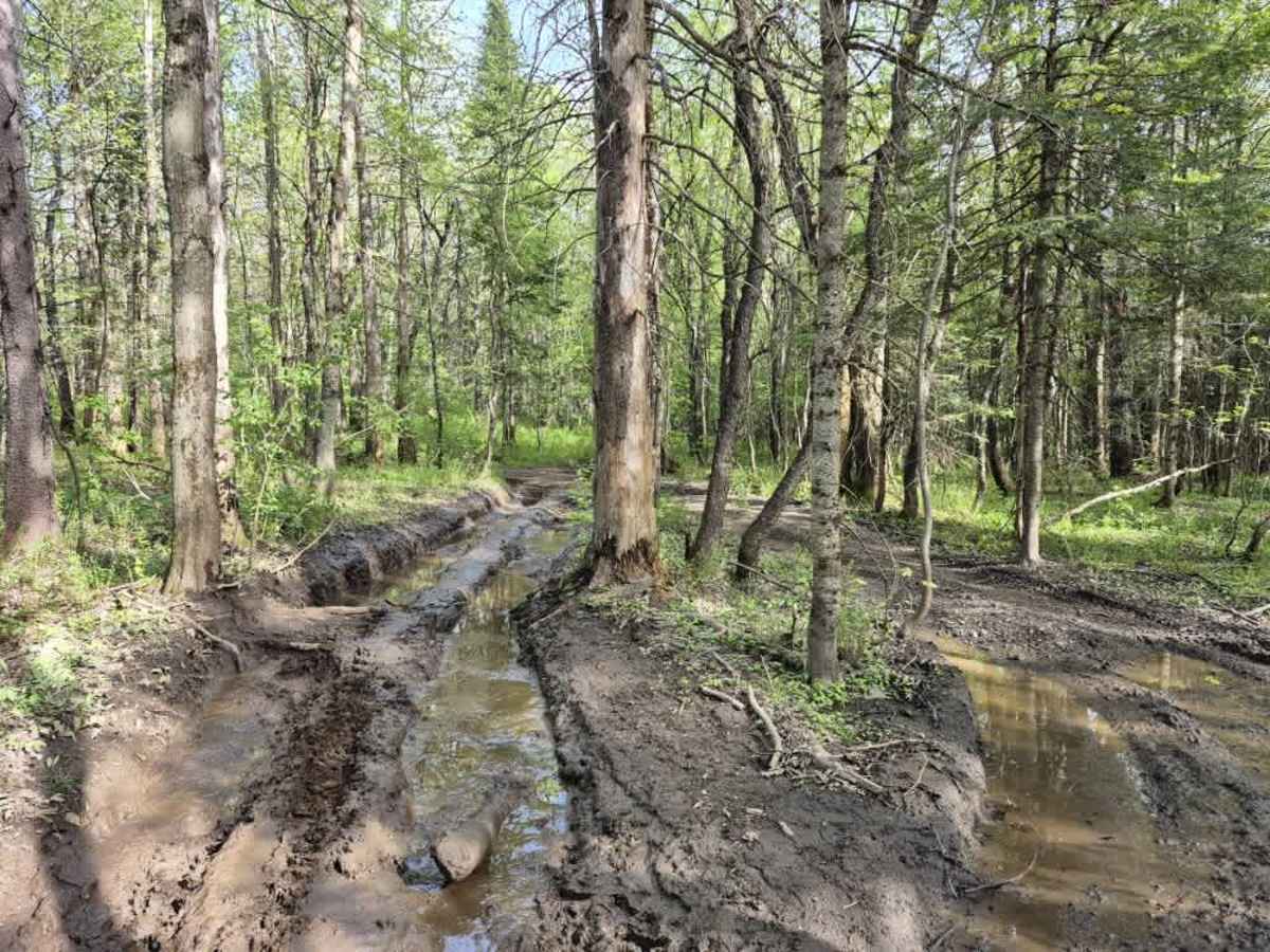 Forks-Factory Trail Connector photo 3
