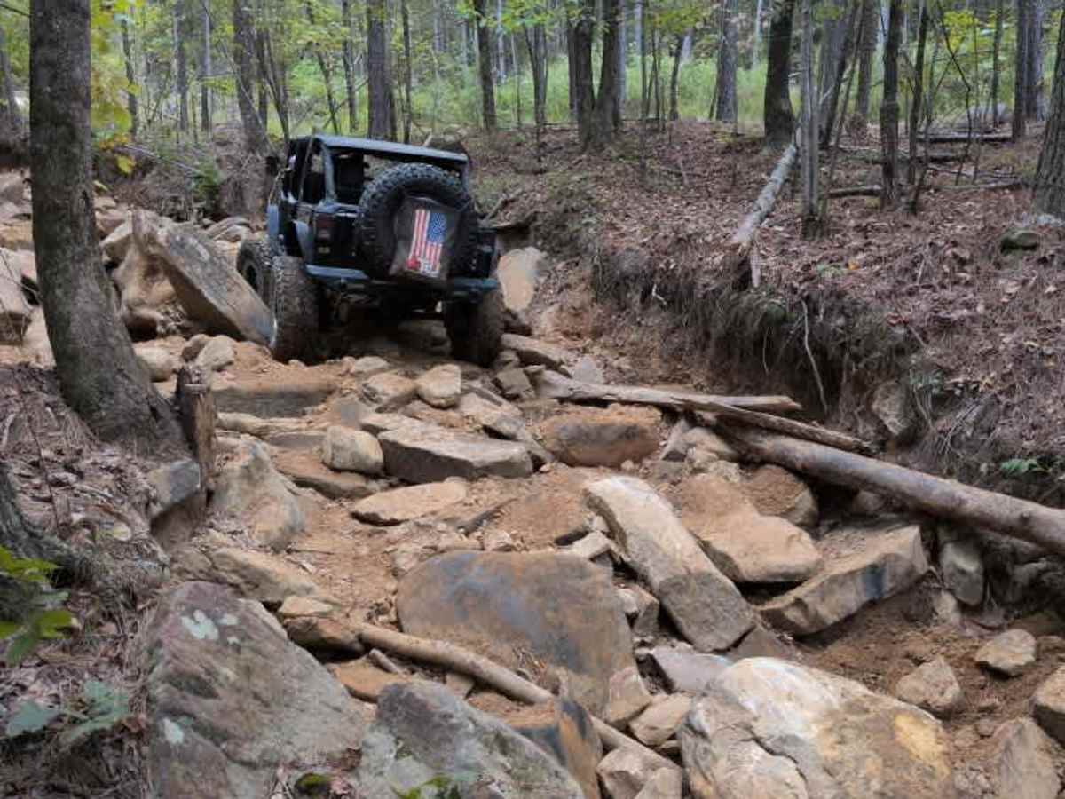 #112 Merlin trail photo