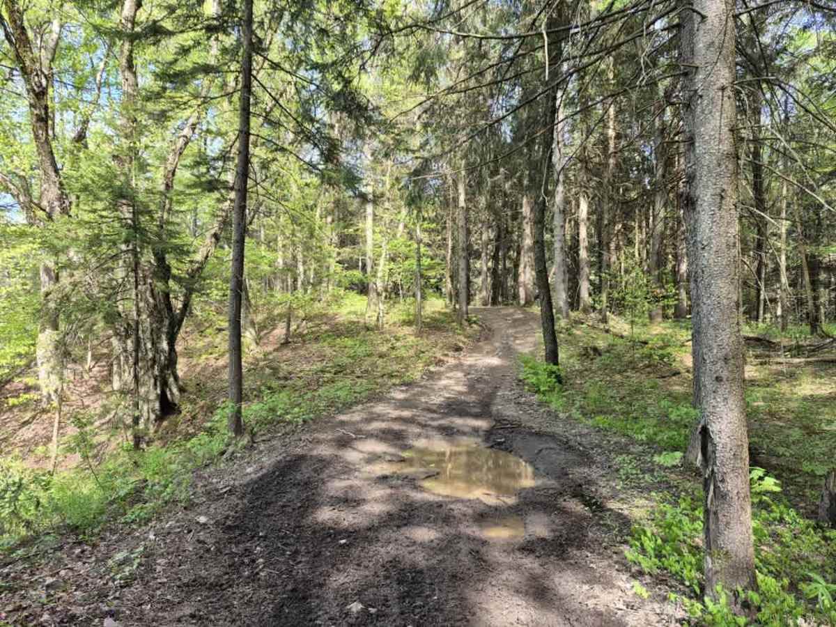 Upper Forks-Factory Trail photo 4