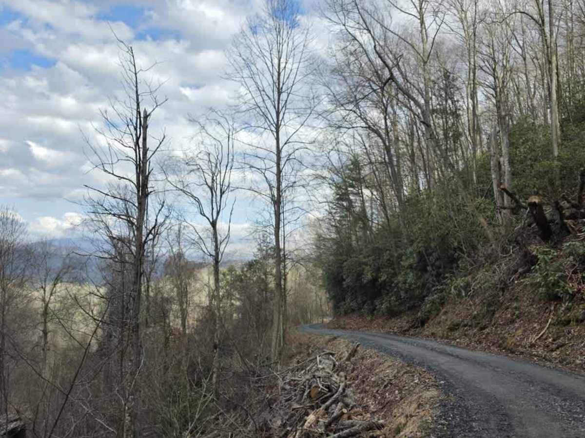 White Oak Flats Spur photo 2