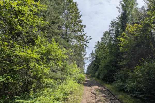 Mud Creek - FS 324