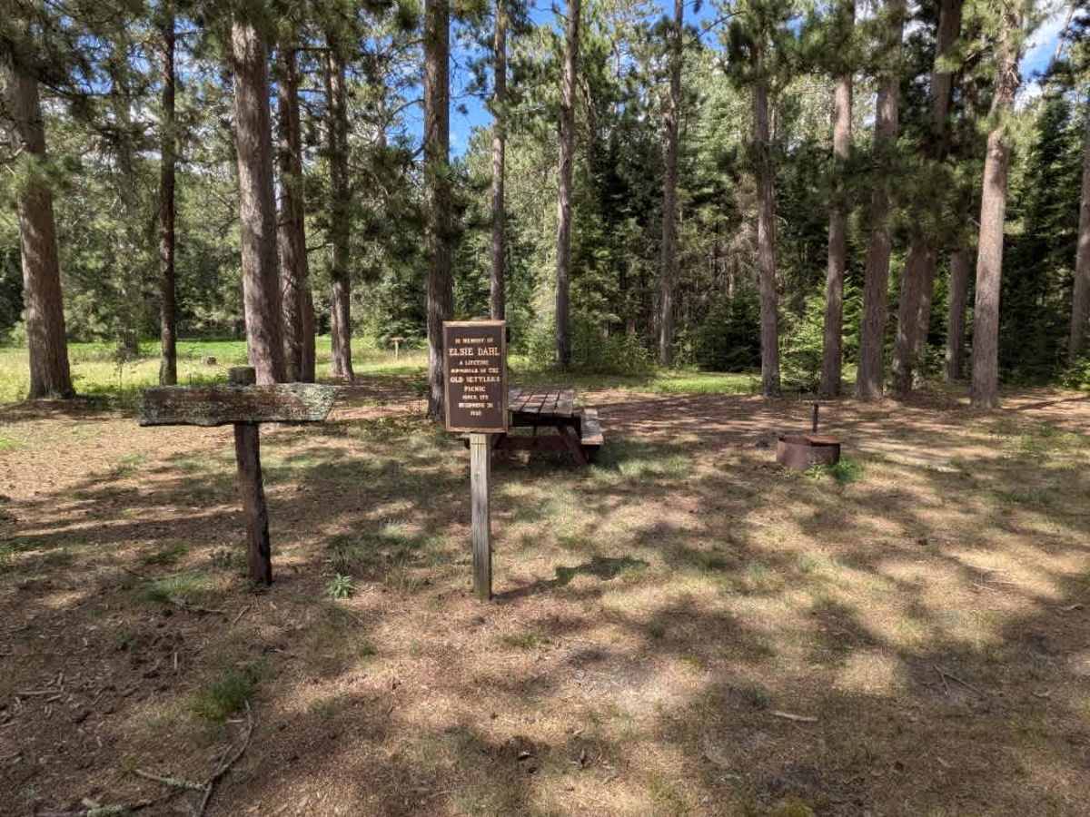 Faunce Butterfield Forest Road photo 6