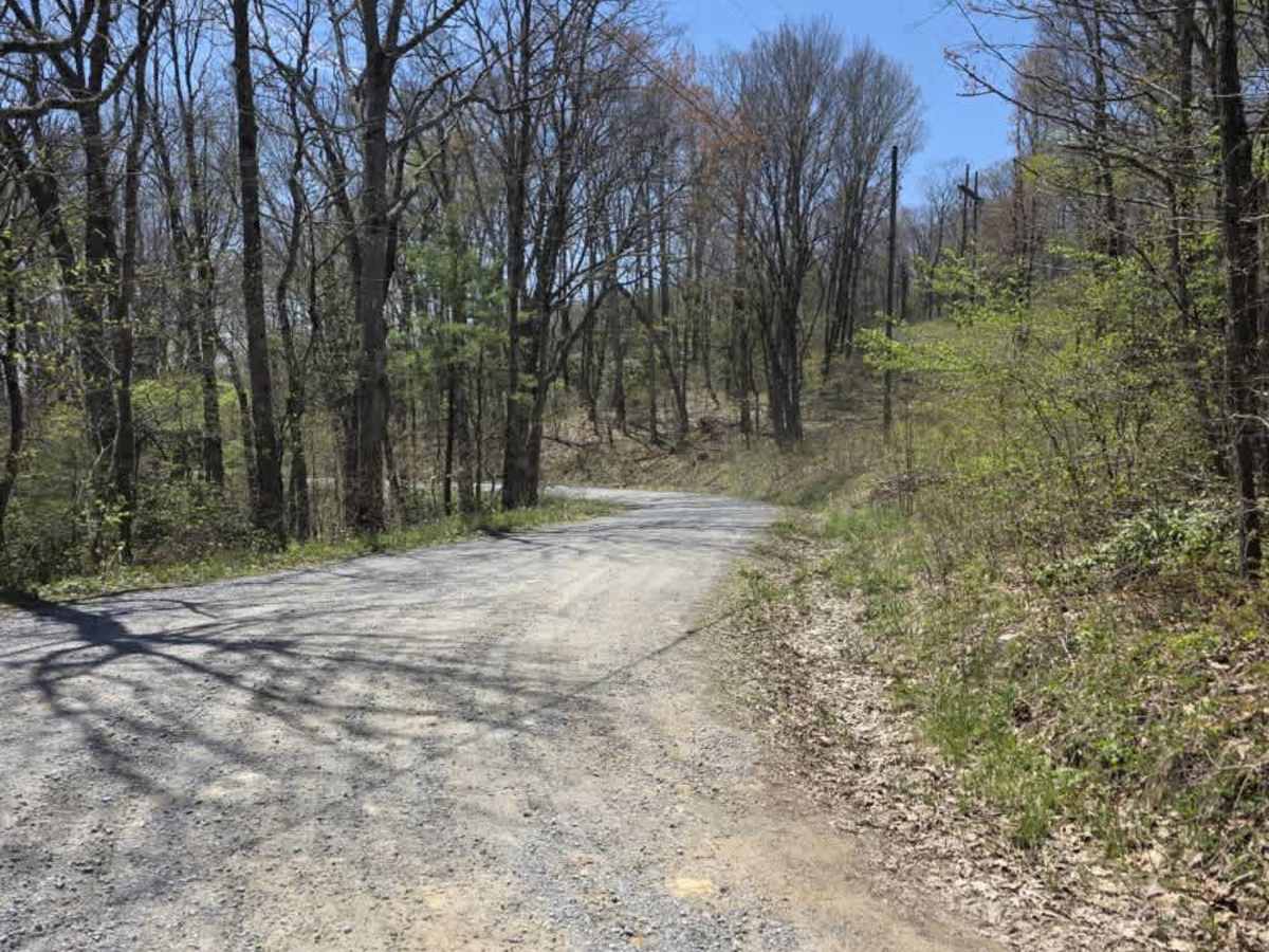 Panhandle Road Crest photo 6