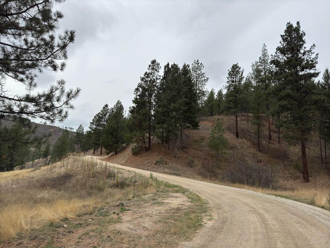 Mine Road