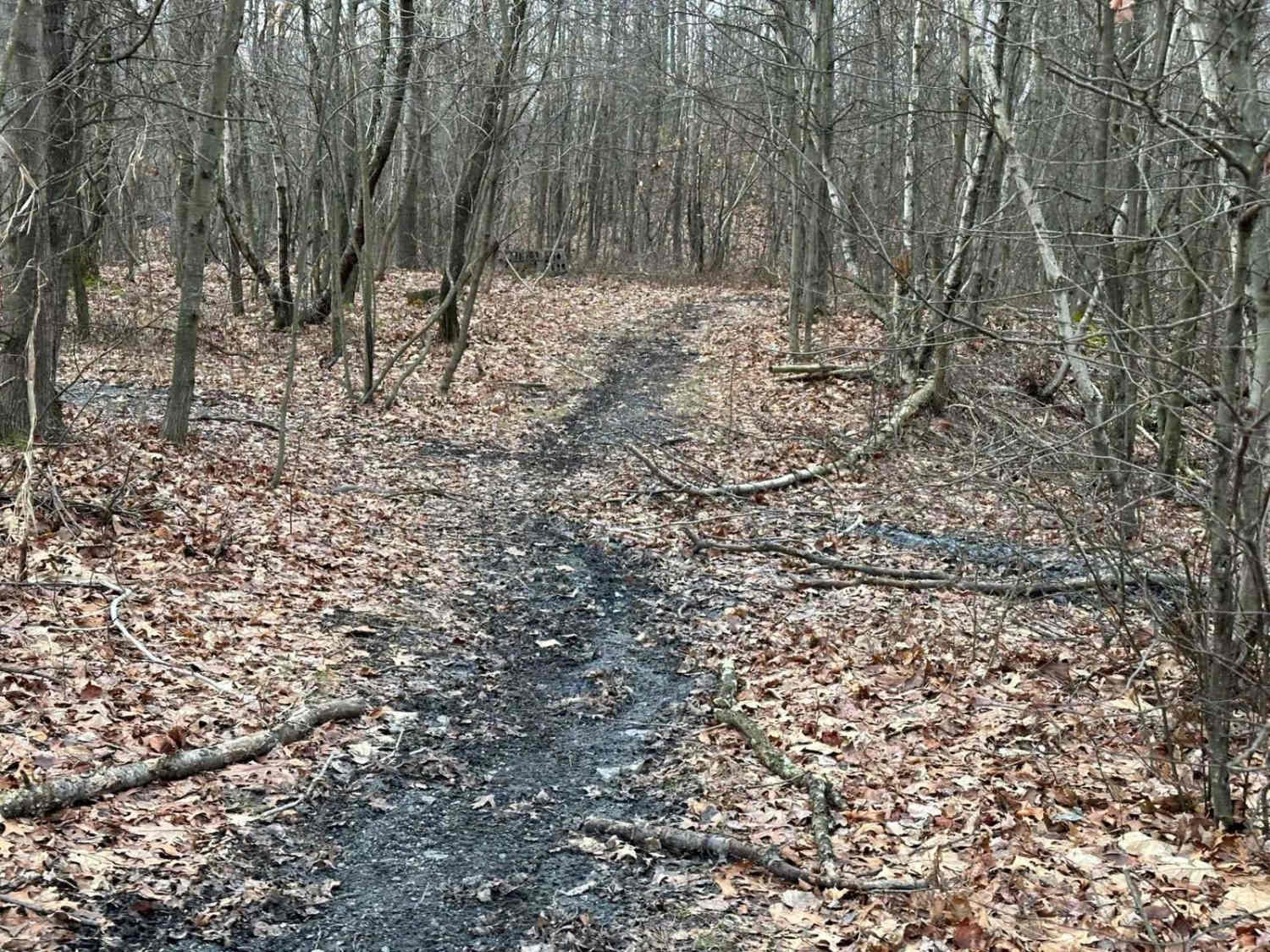 Locust Gap Single Track 3