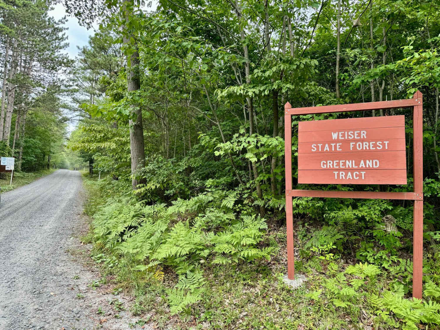 Berry Mountain Climb