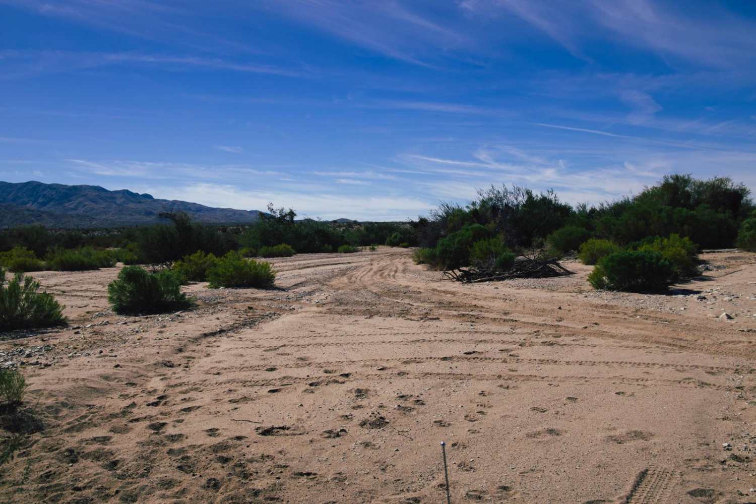 Lower Wash Run