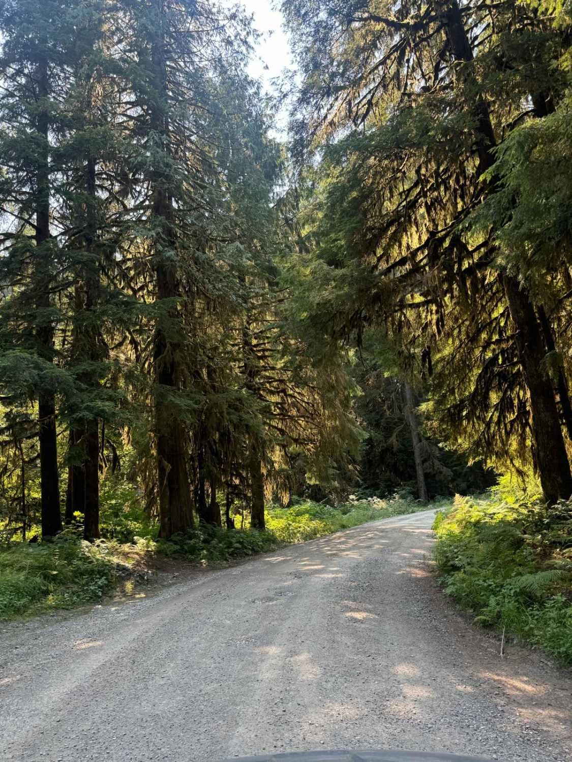Boardman Lake Trail