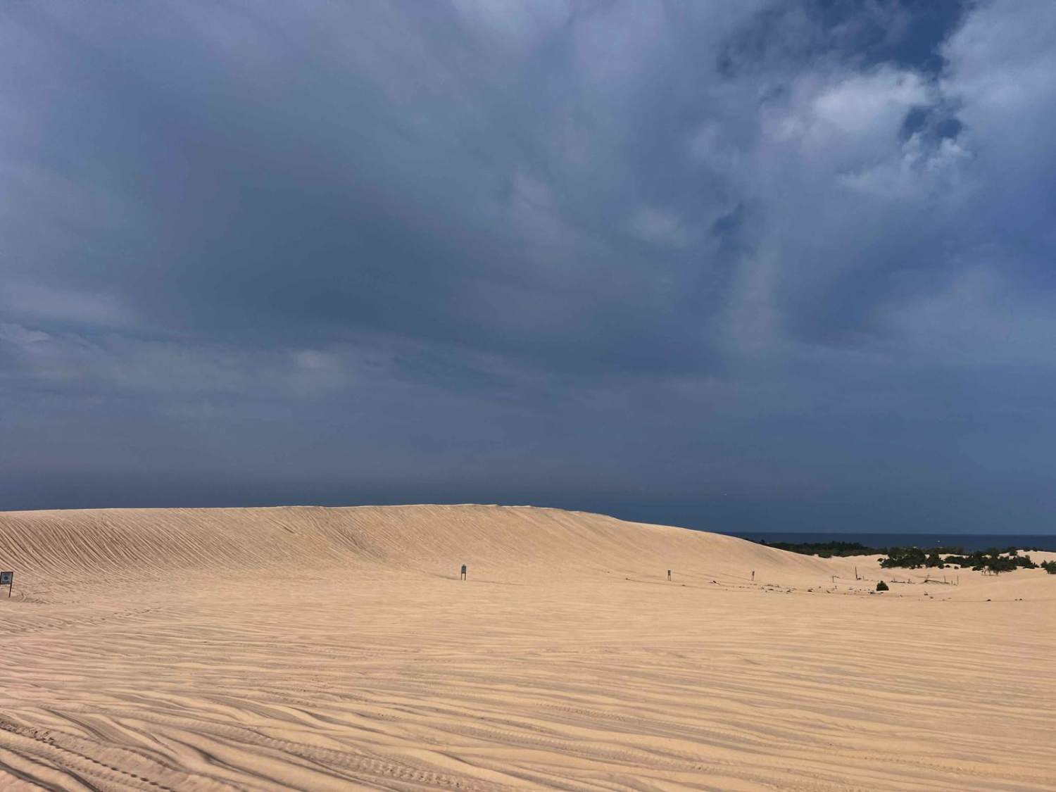 Silver Lake State Park ORV Area (Sand Dunes)