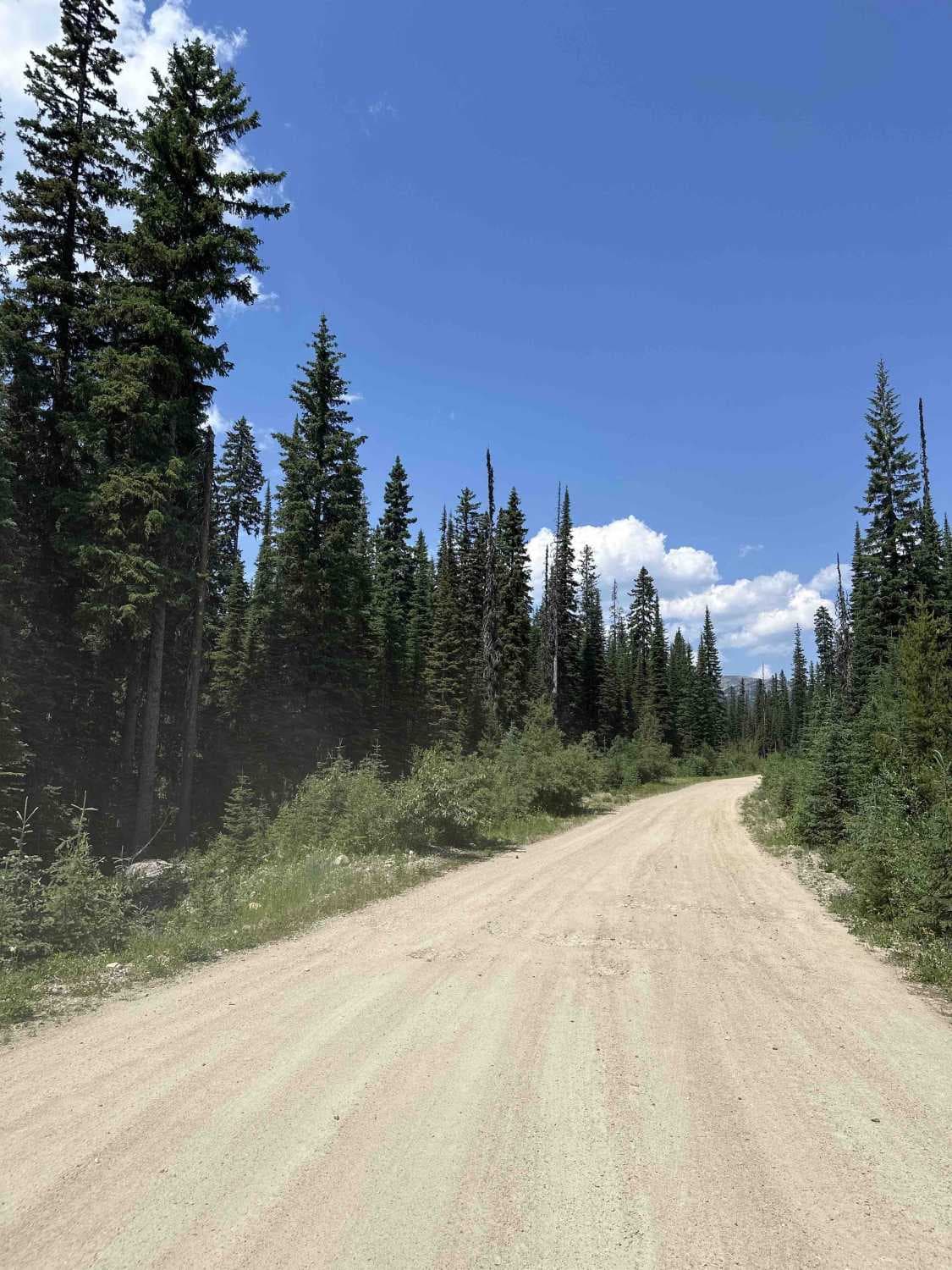 Okanagan Falls FSR