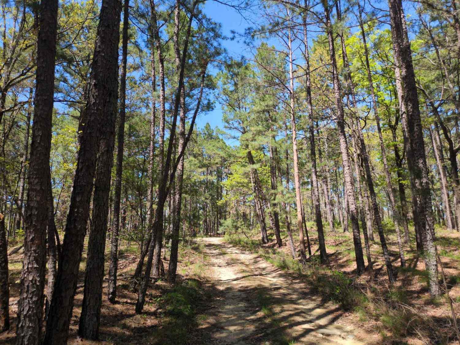 53500 Creek Trail