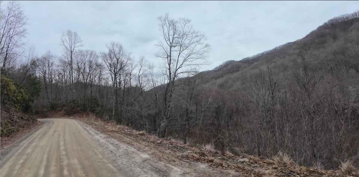 Tuni Gap Road - FS 440