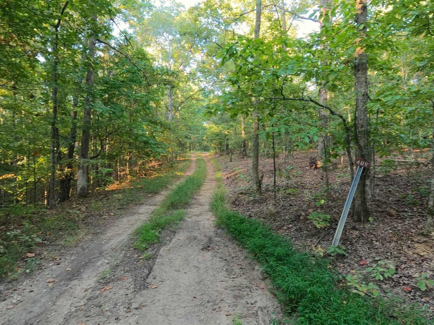 Green Branch Road - FS 409