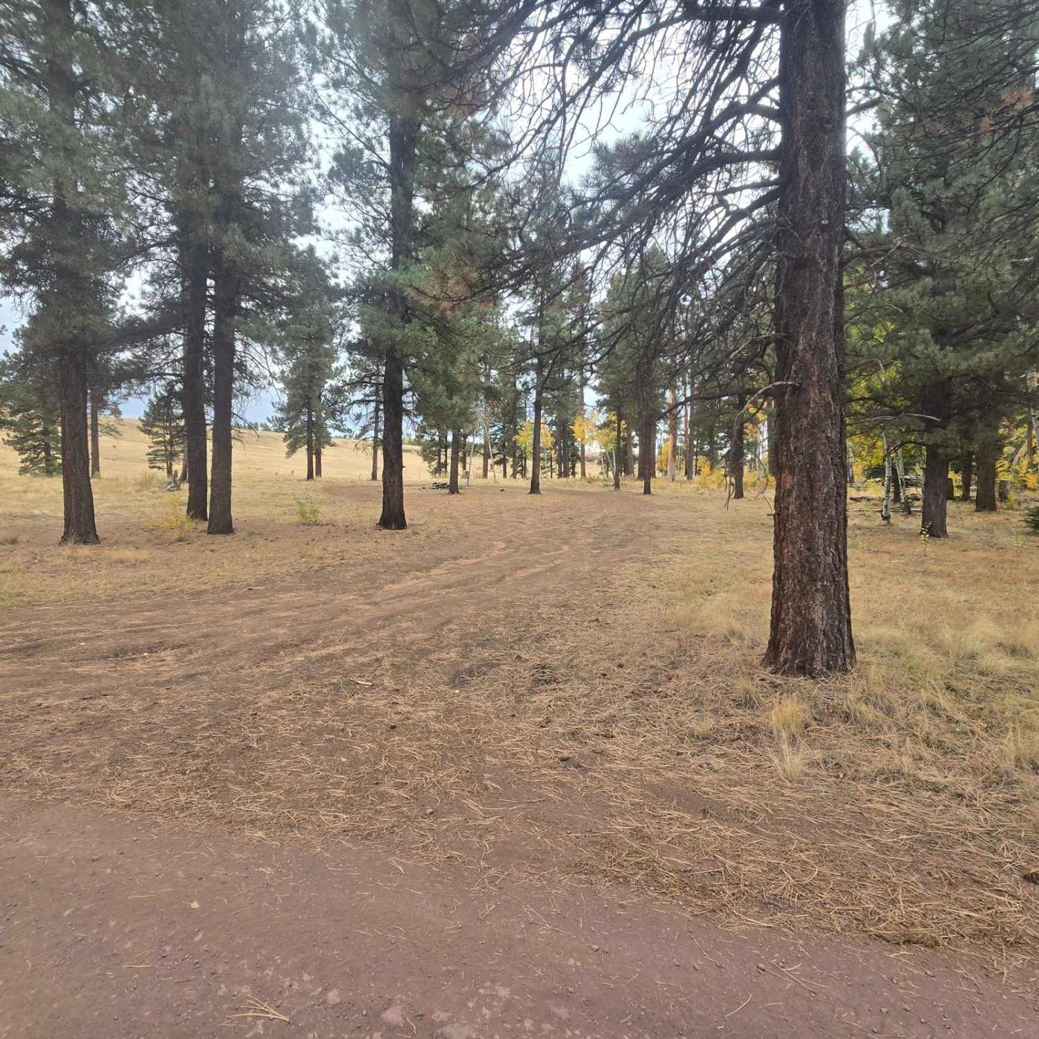 Hall Creek Road