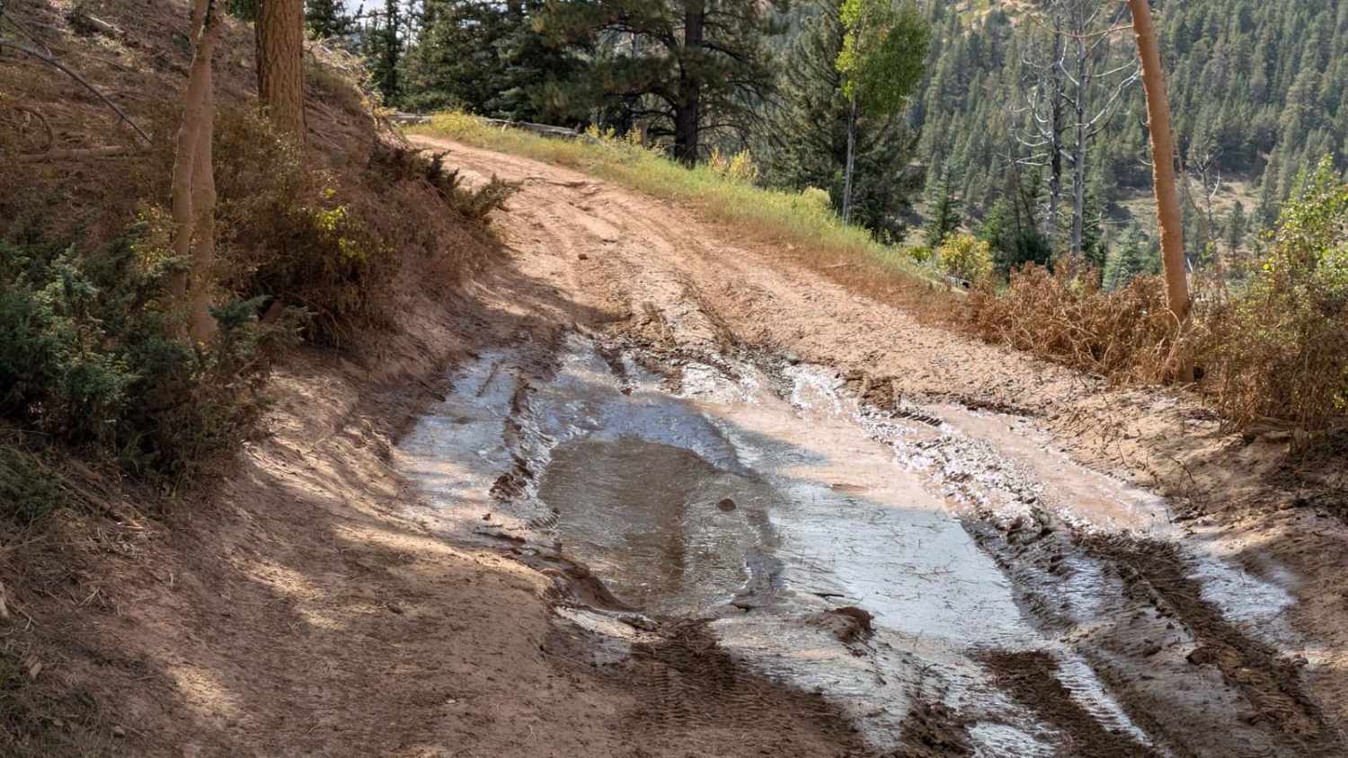 Great Western Trail South