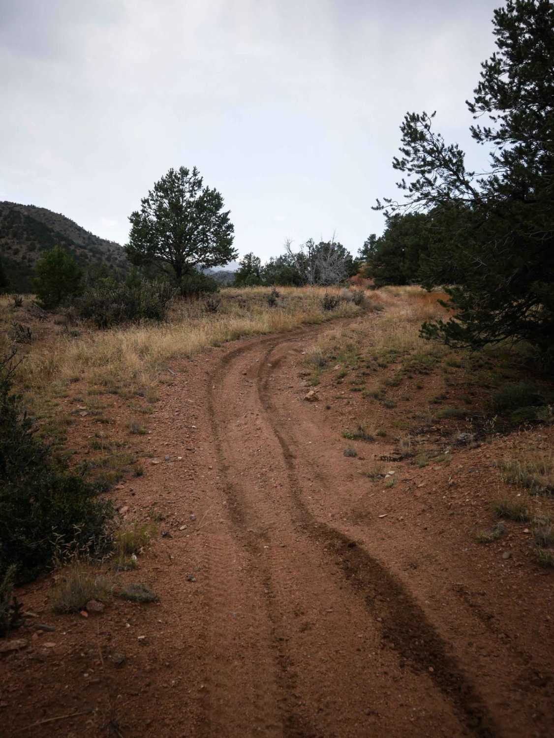 Lonestar ATV Loop 