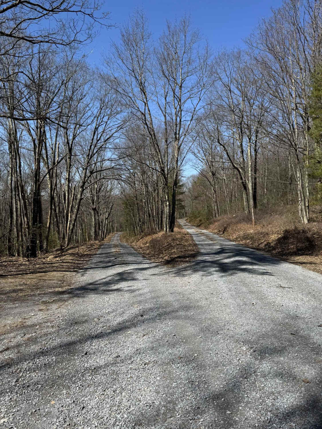First Fork Road
