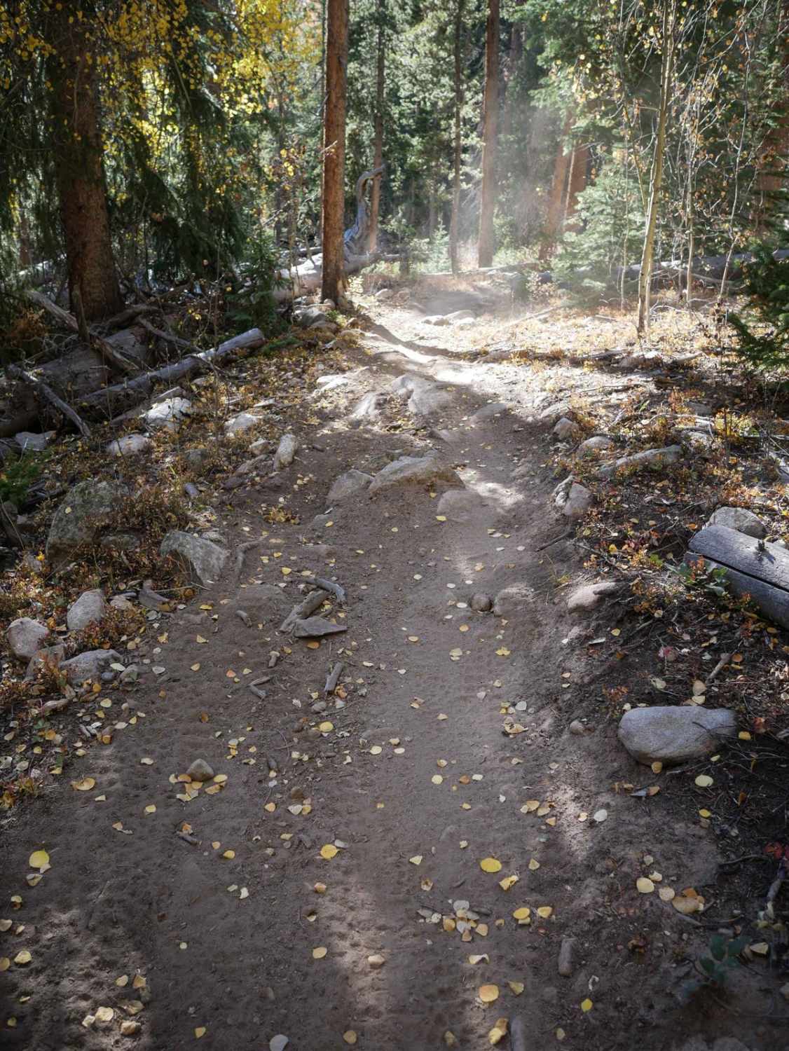 Moab Trail