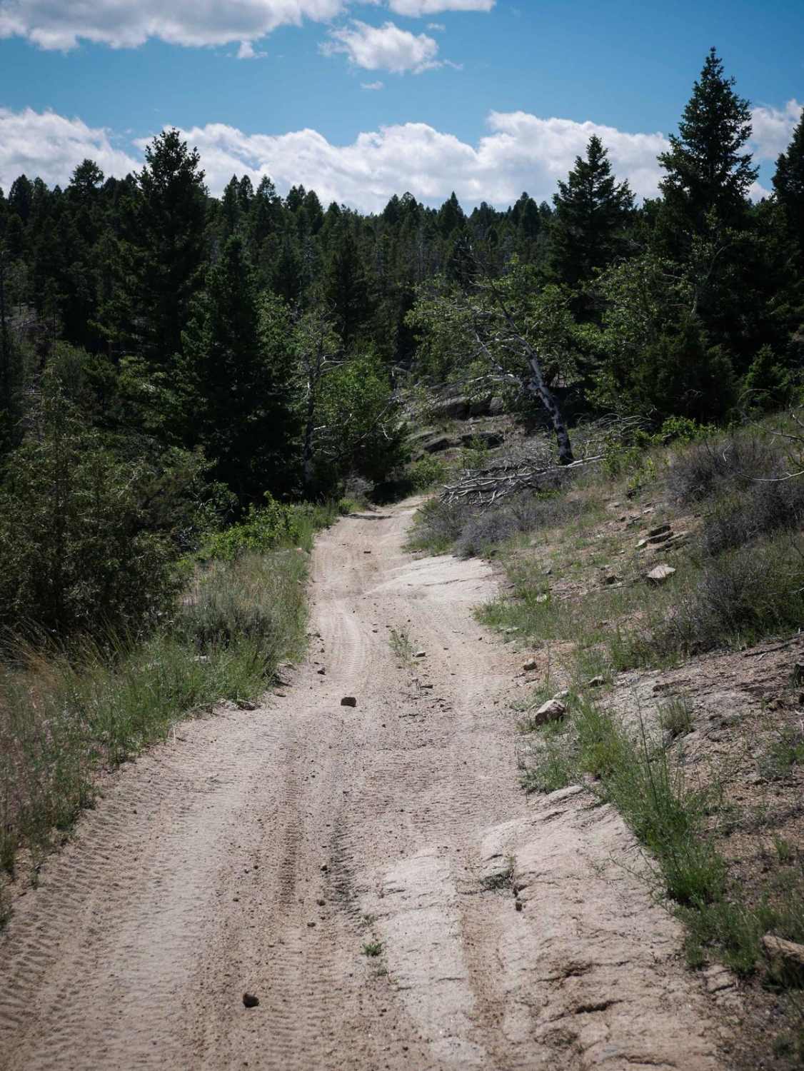 Canyon ATV Trail 