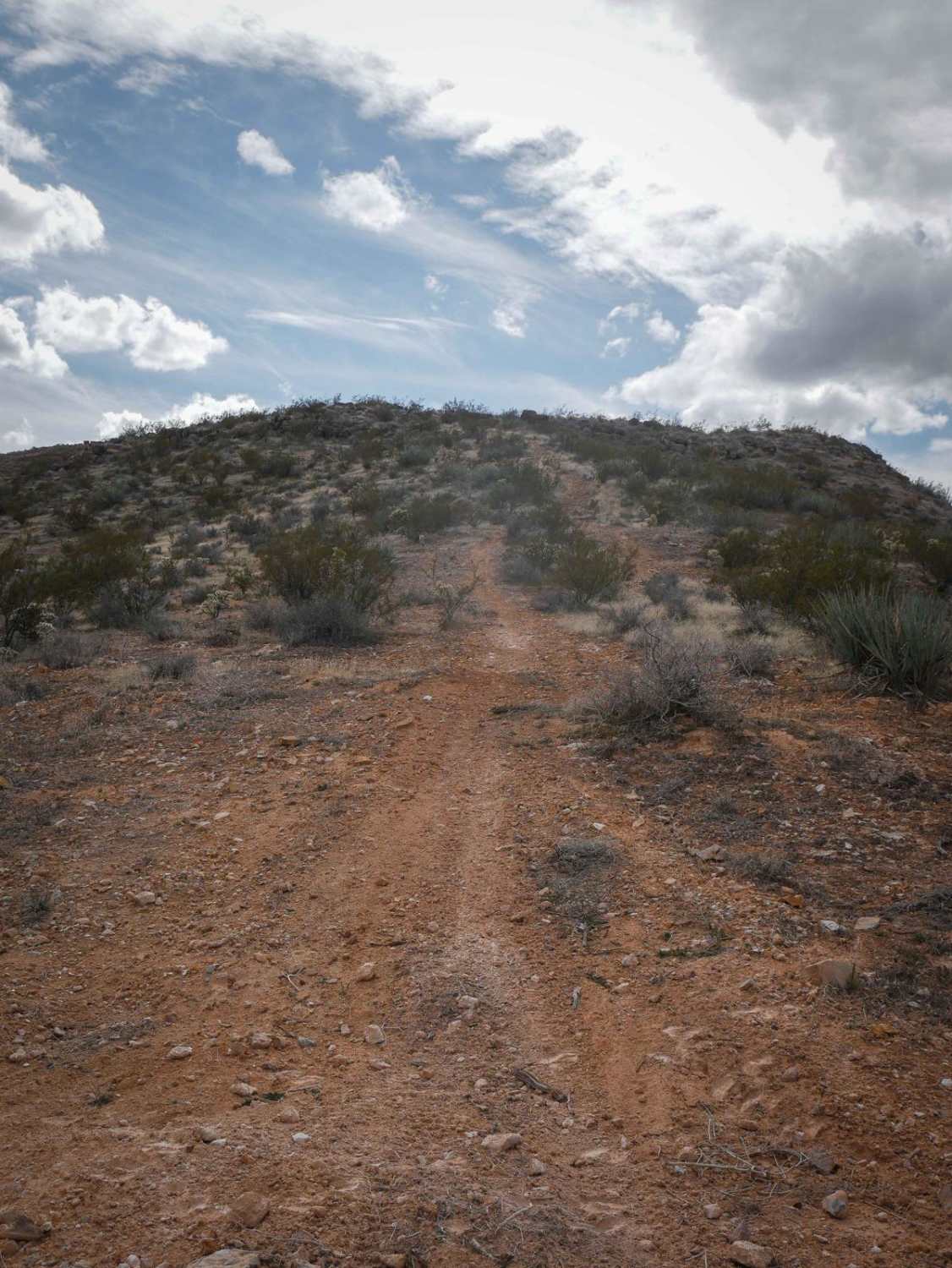 Dutchman Rim