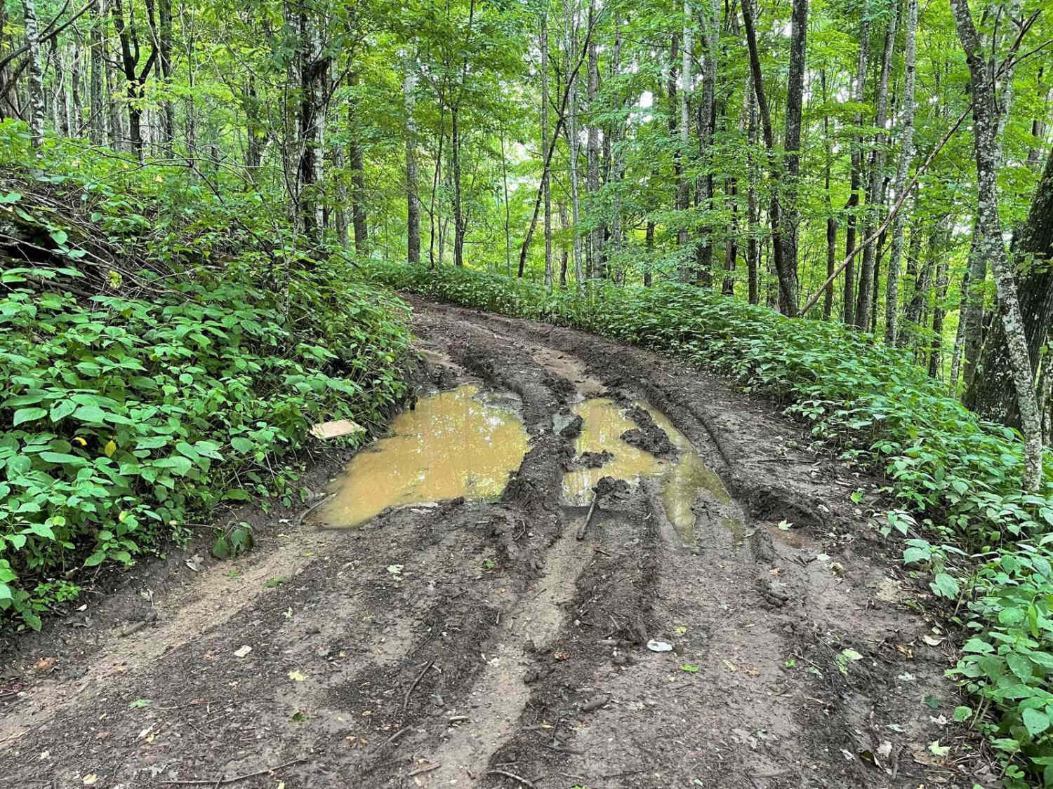 Little Stoney Creek/Laurel Fork