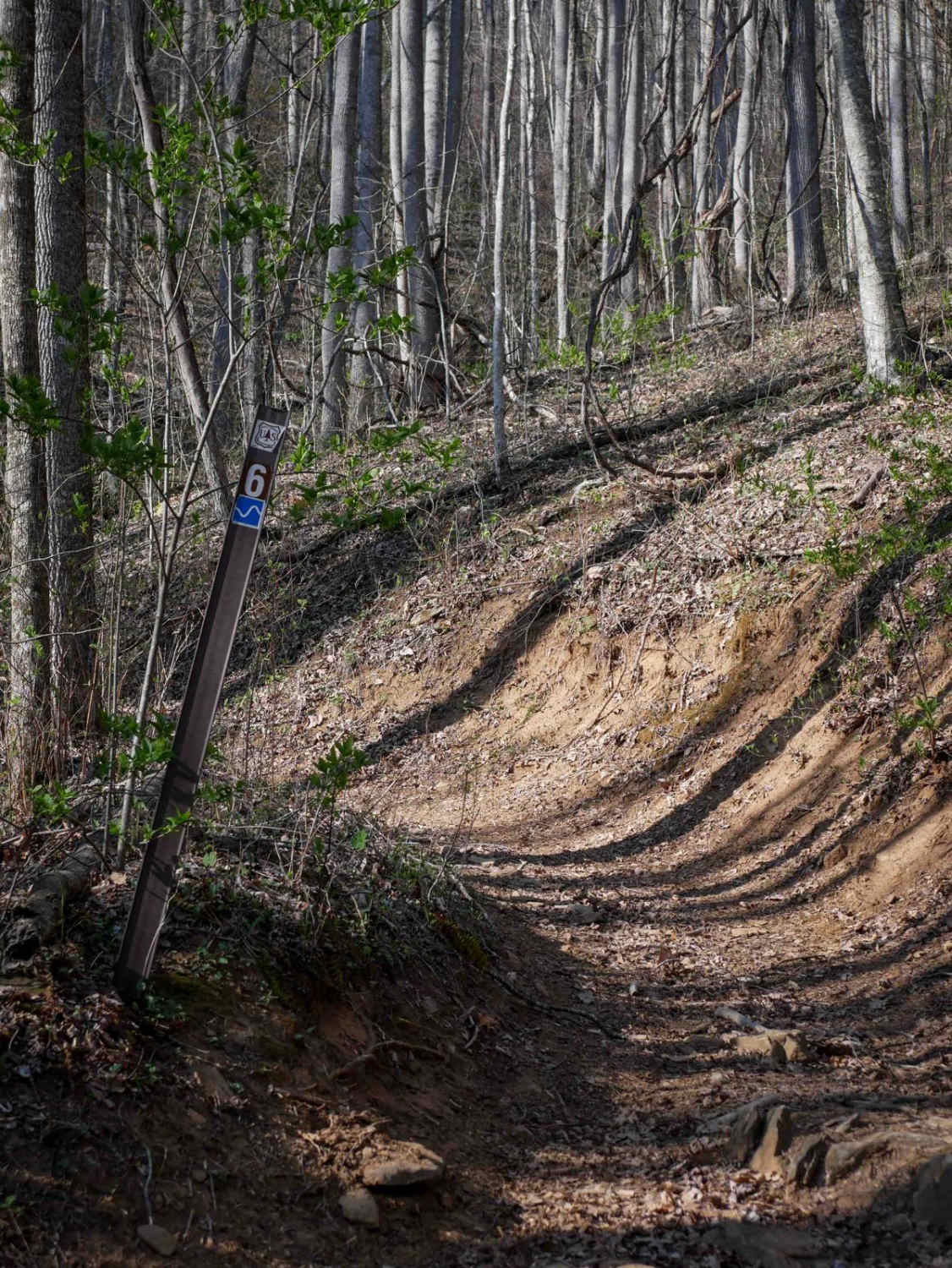 Sunset Ridge Trail 6 