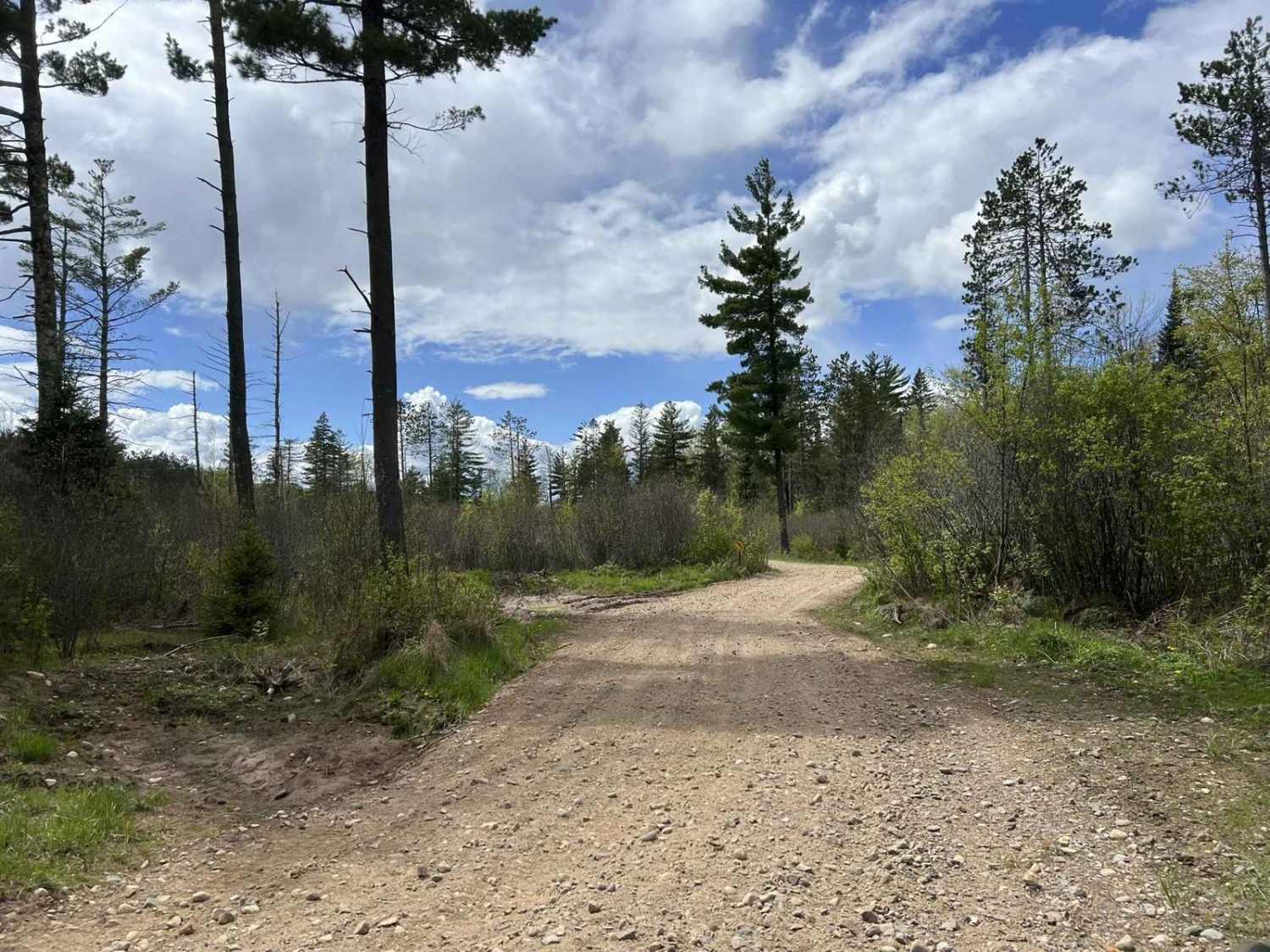 Starks Settlement Road Nicolet State Trail Access