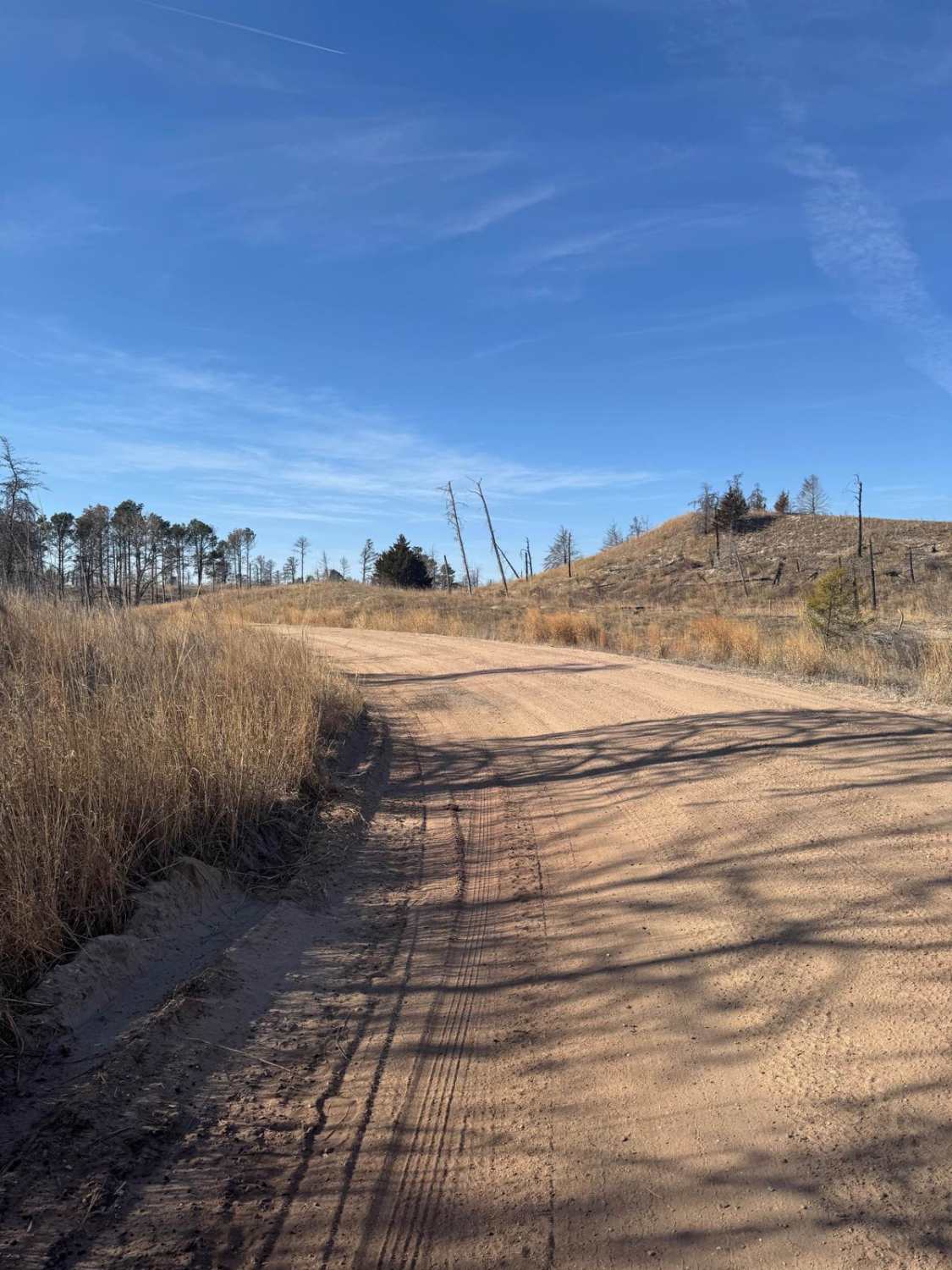 Forest Road 203 - Circle