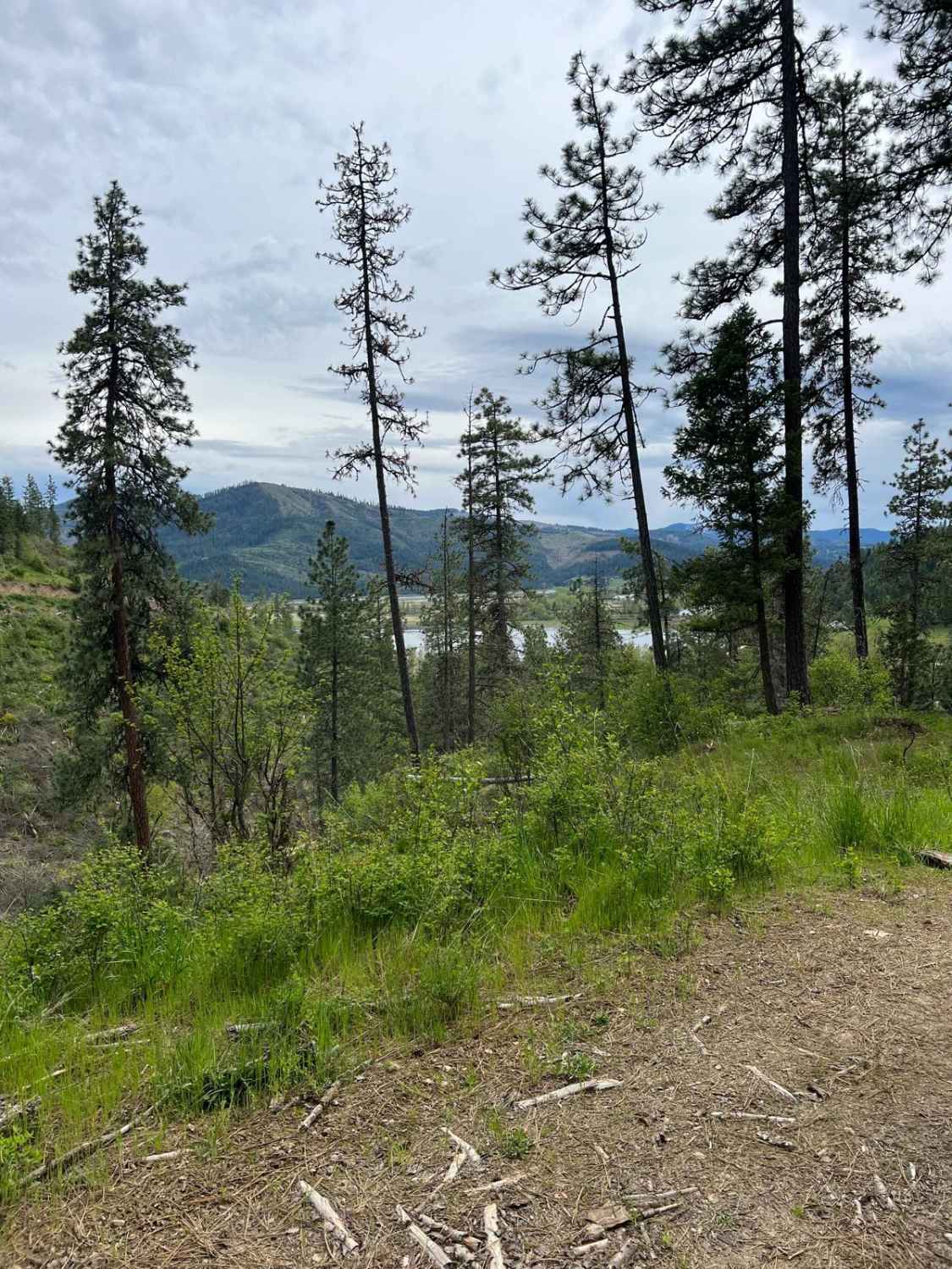 Kalarney Lake to 4th of July