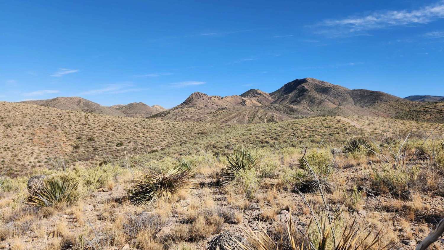 Lower Wakefield Canyon
