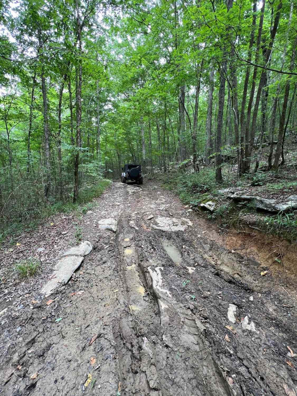 Betsy Gap Trail