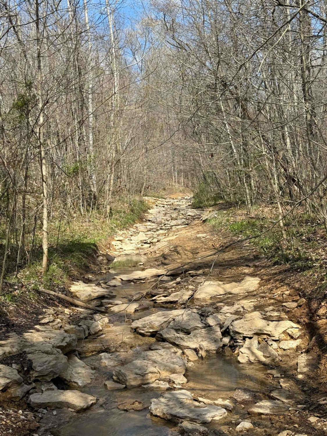 Trail 24