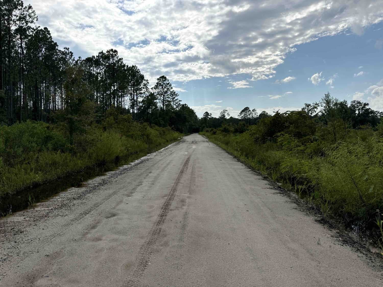 Old Jacksonville Rd - Osceola NF 263