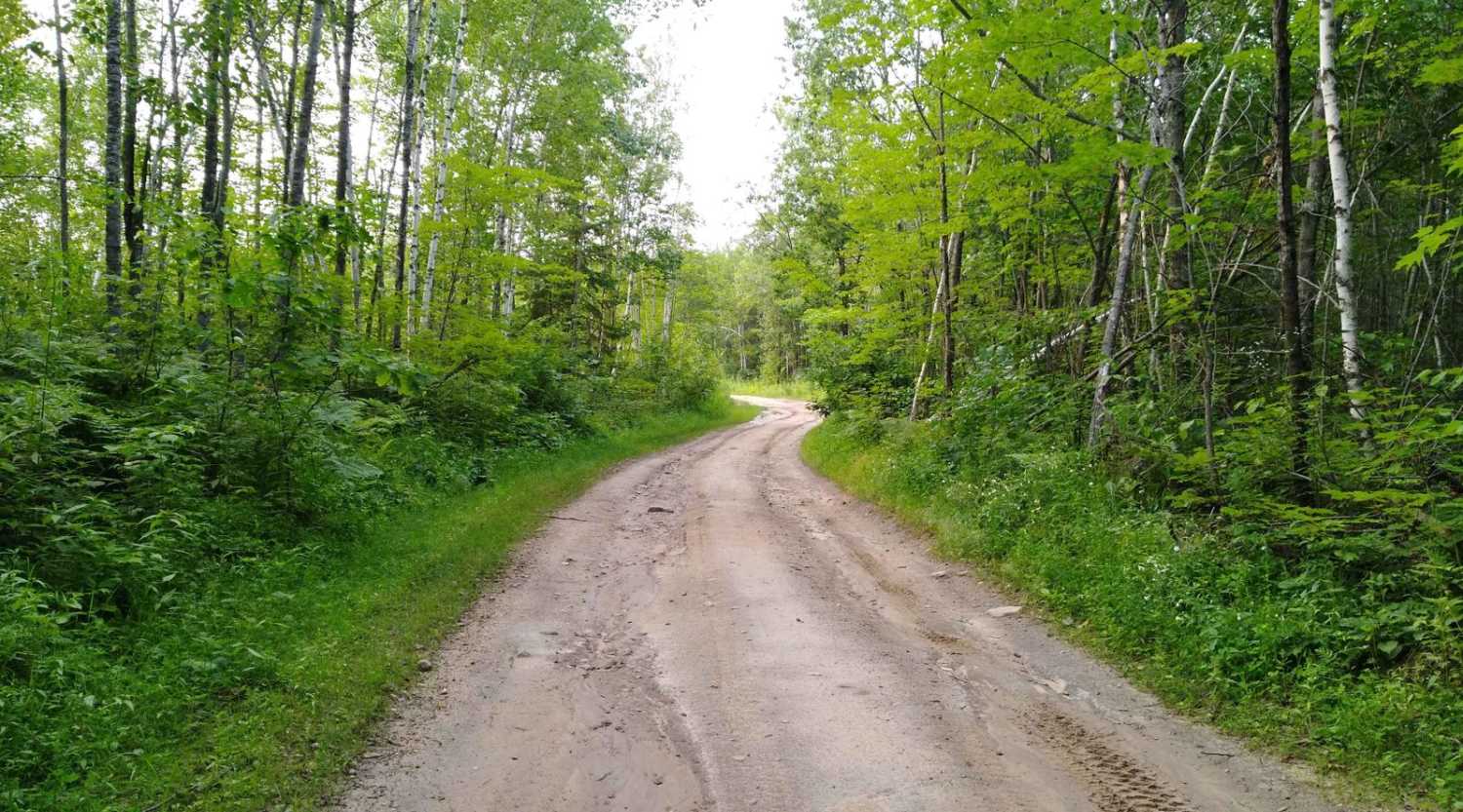 Emily/Outing ATV Trail B (Cass County)
