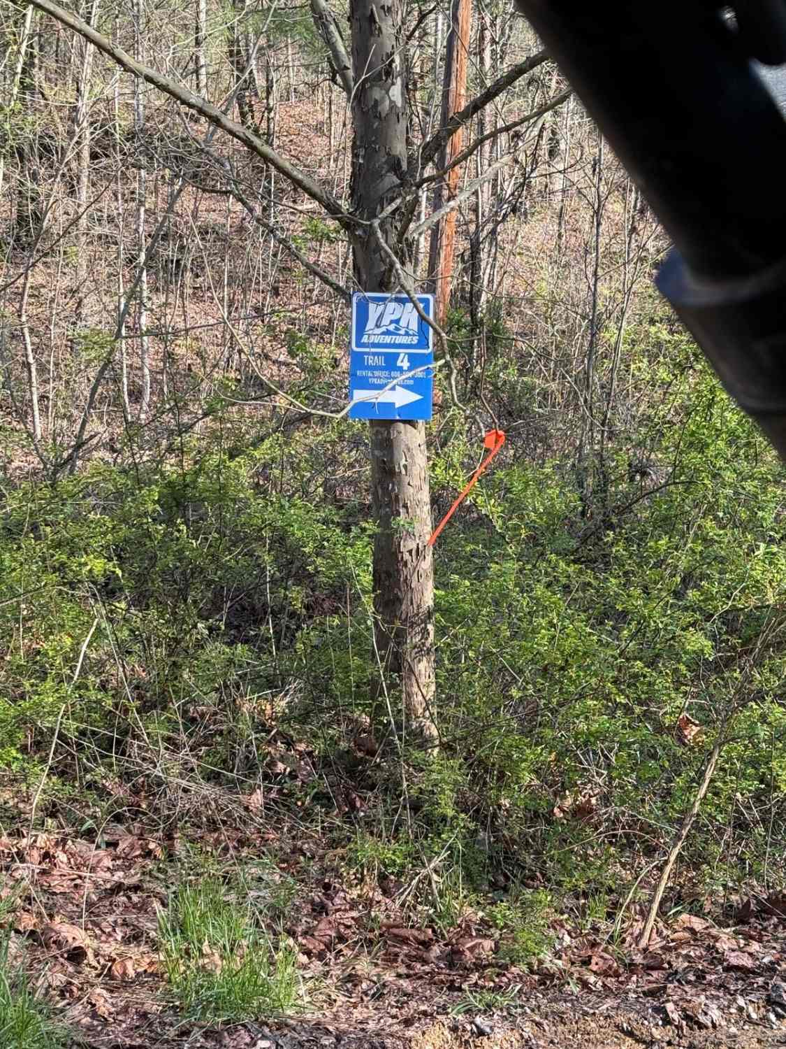 Trail 2