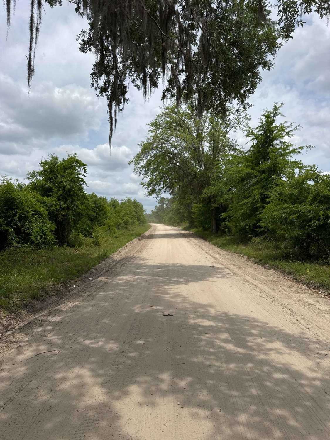 North East Needmore Road - Osceola NF