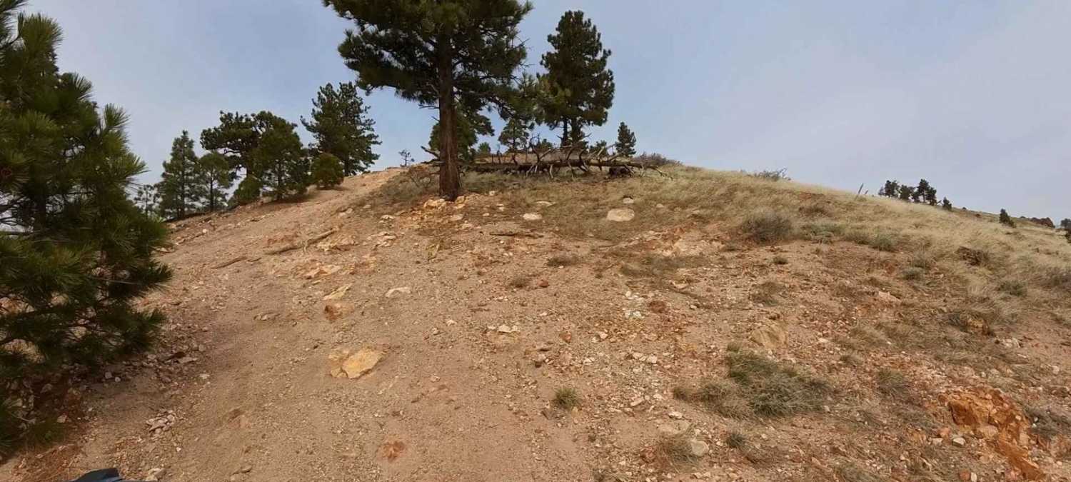 Headliner Trail