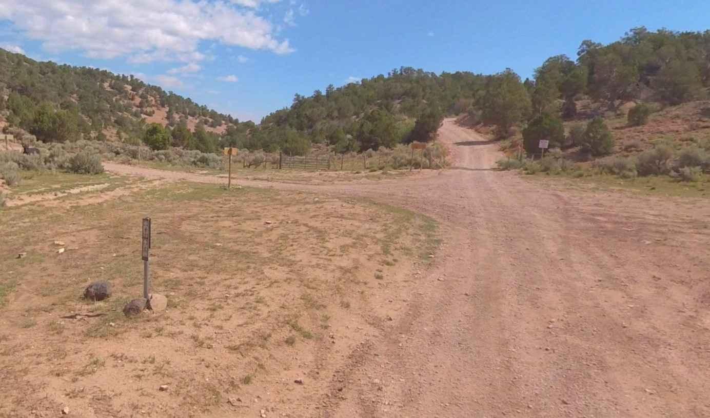 Watts Mountain Road- FS 40111