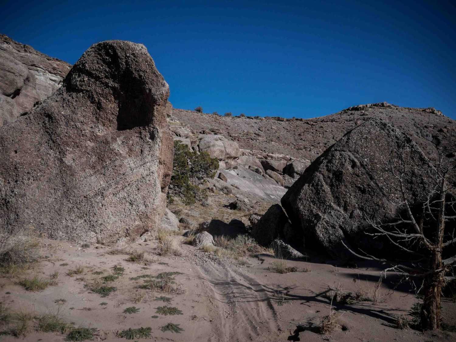 Neversweat Wash South 