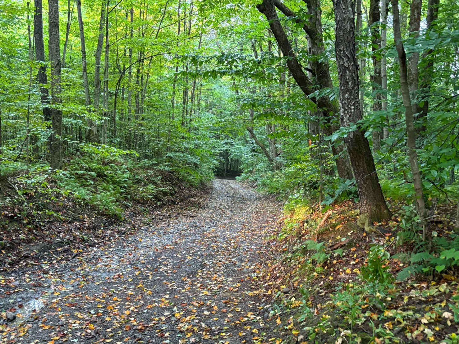 Tioughnioga Wildlife Management Area