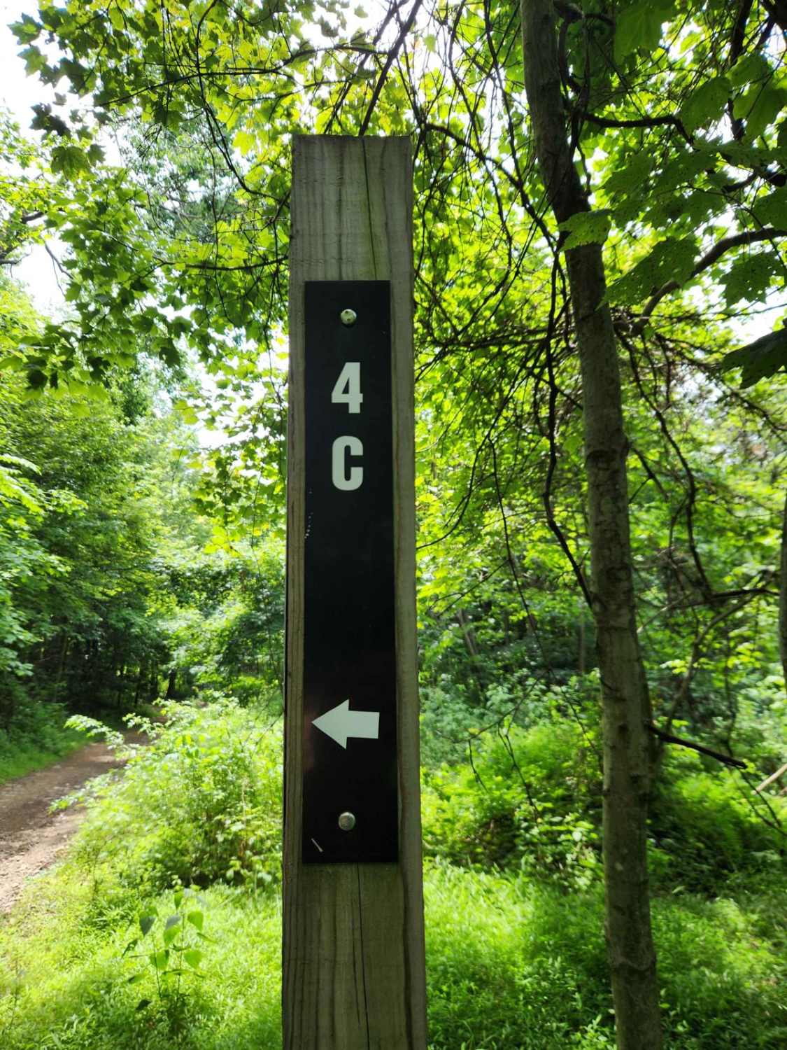 Trail 4C - Rock Run Recreation Area
