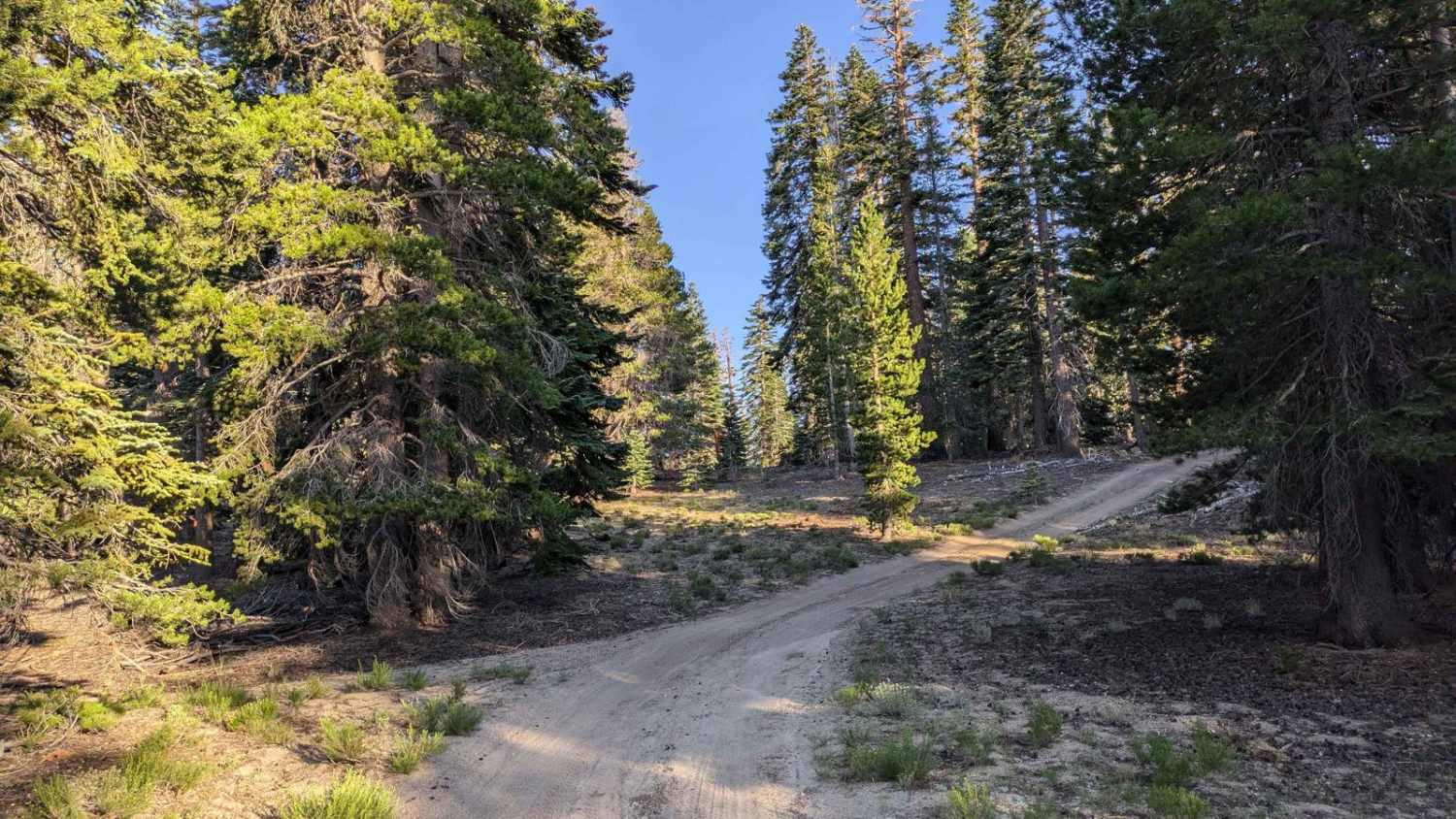 Dry Creek Knoll Side Spur - 3S110B