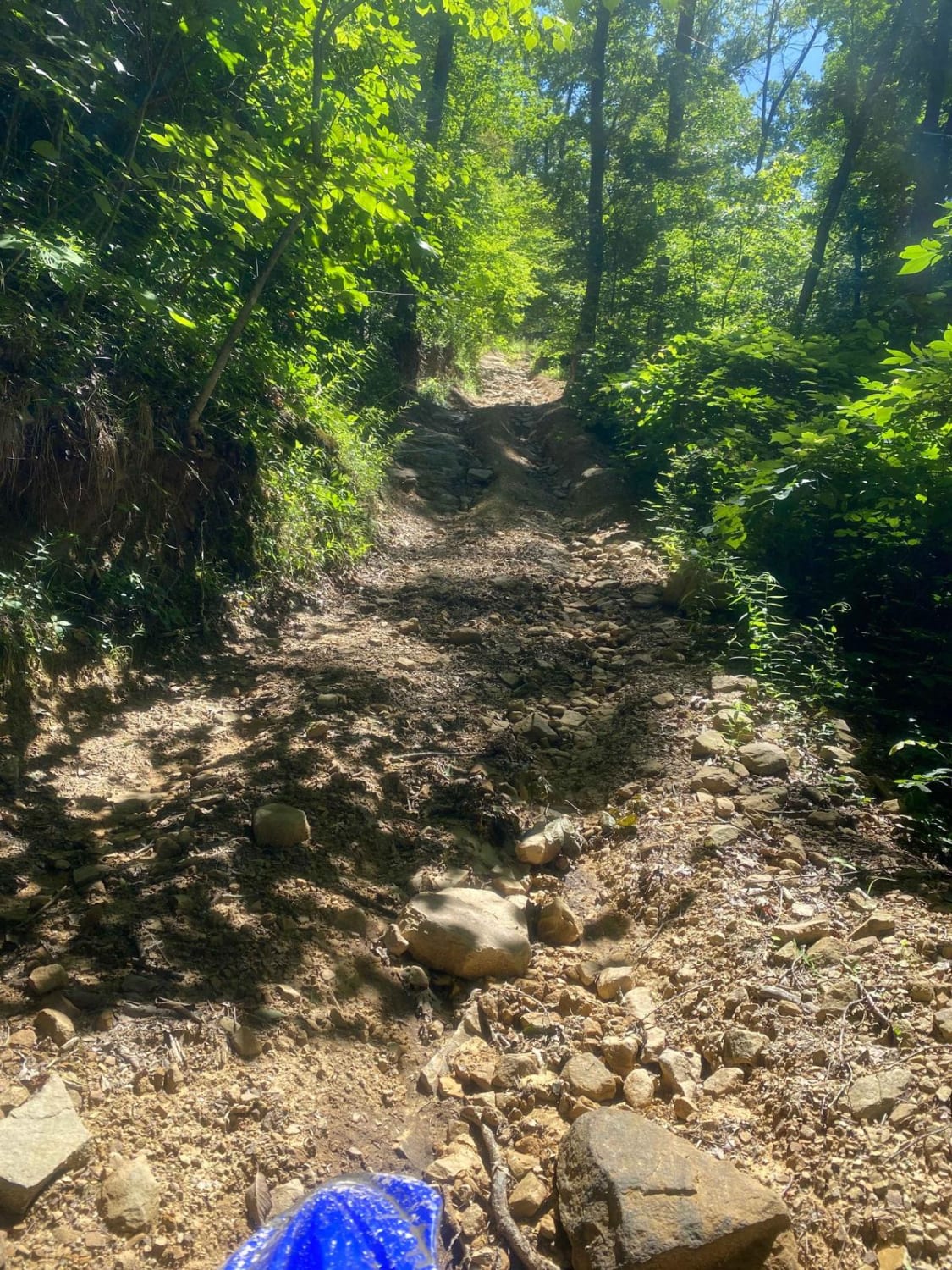 Trail 6