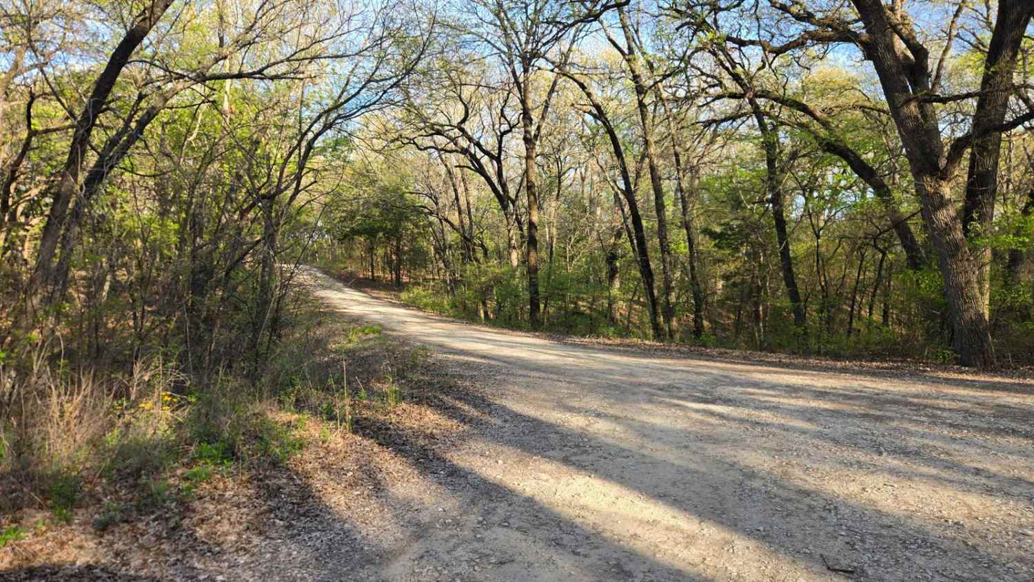 Oil Field Road