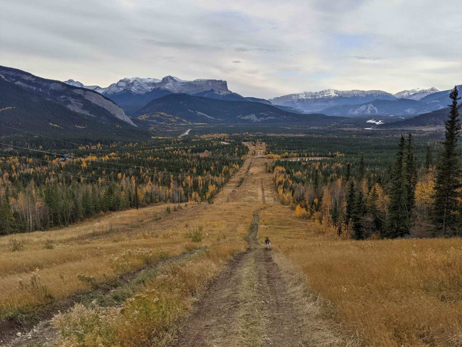 Brule Lake Hill Climb
