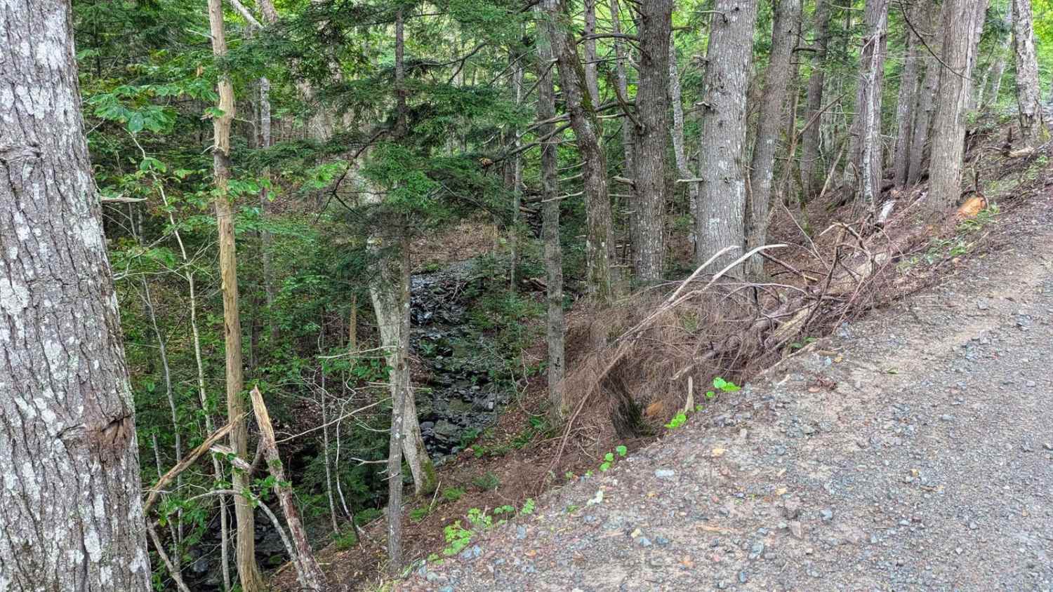 Browns Mountain Road