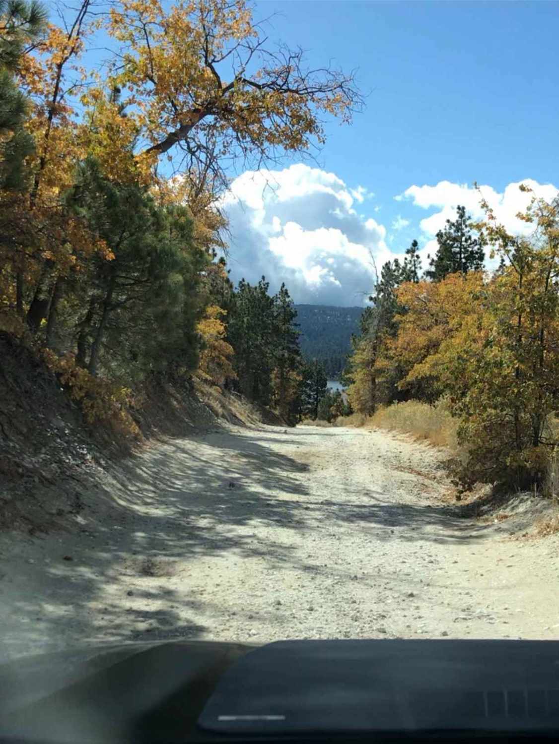 Polique Canyon Road