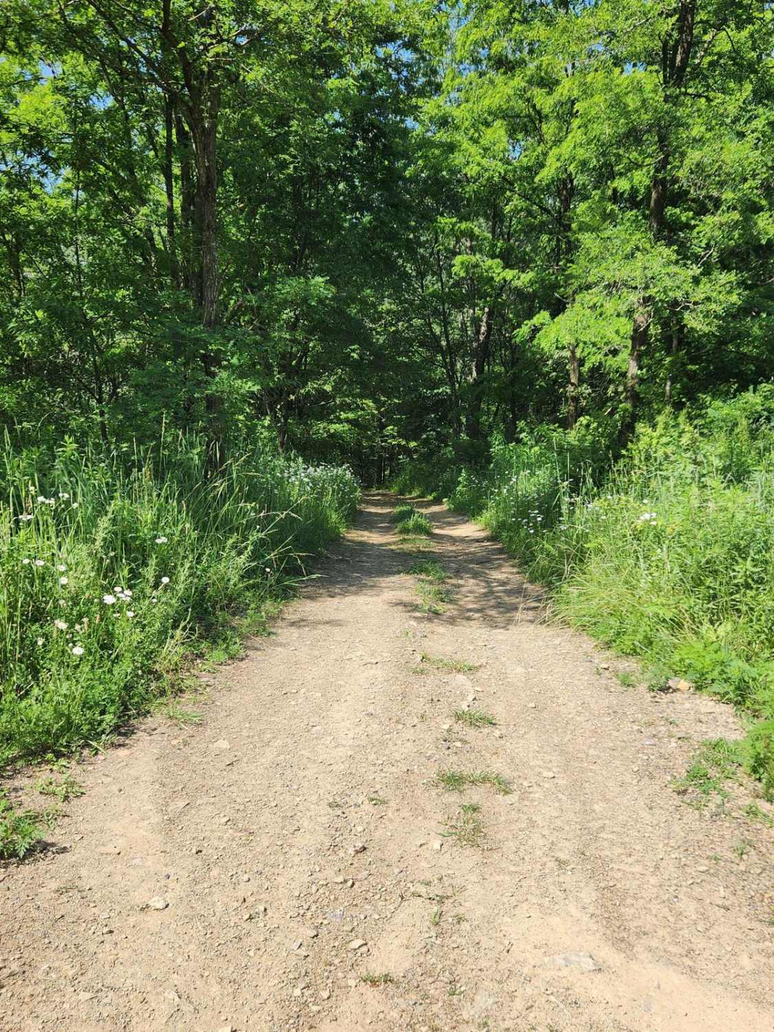 WR Road - Rock Run Recreation Area