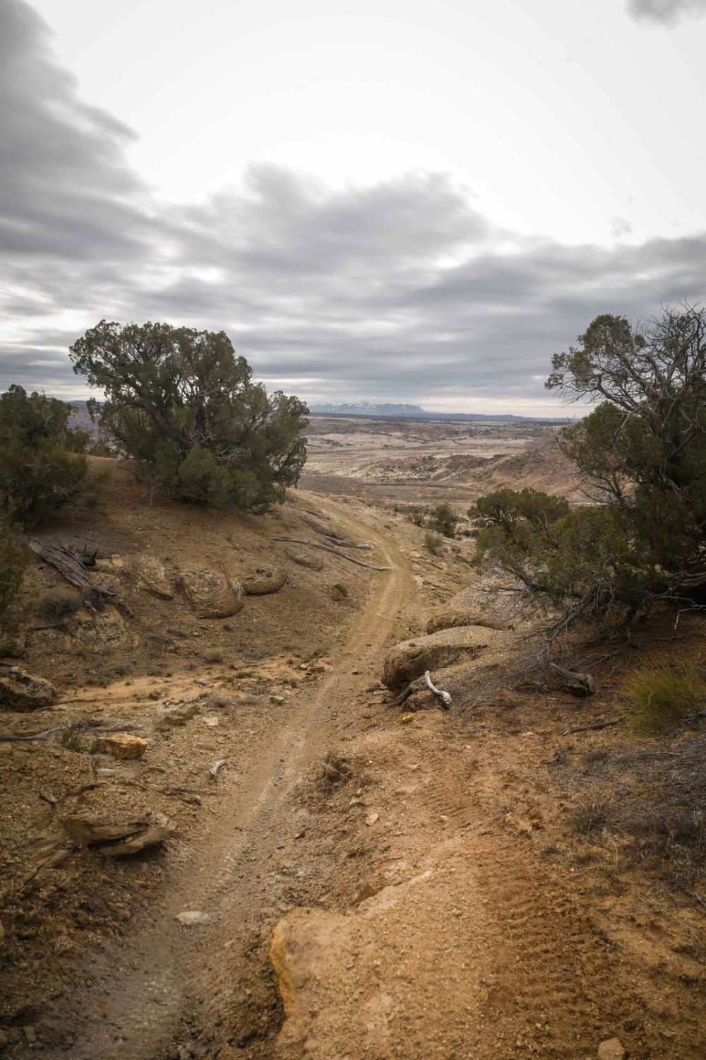 Westwater Mesa Loop Trail