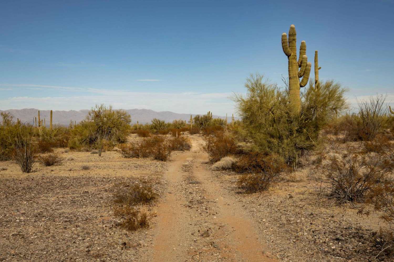 21183 Trail